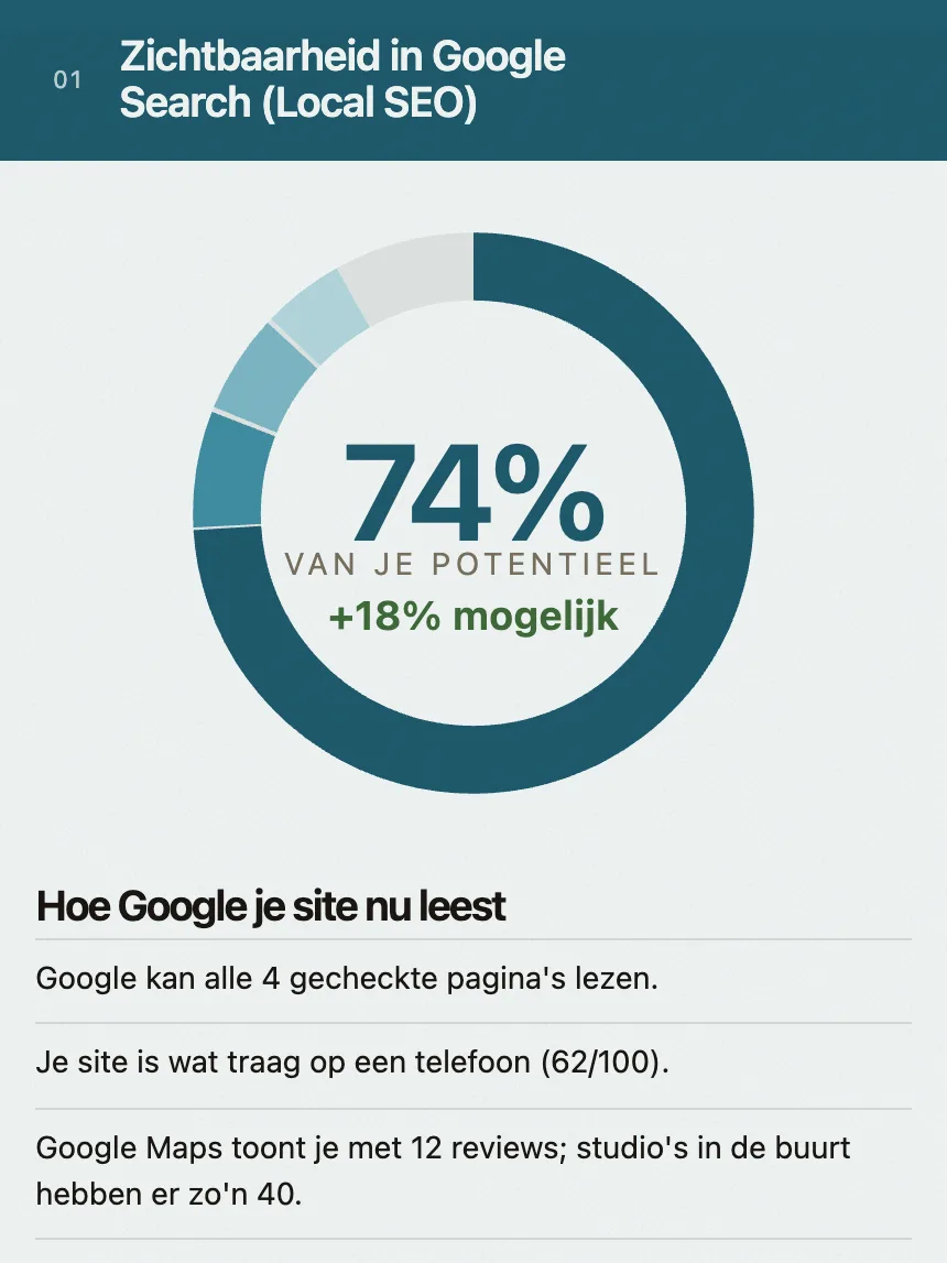 Het Google-deel van een voorbeeldrapport: een scorering op 74% van het potentieel, en hoe Google de site nu leest